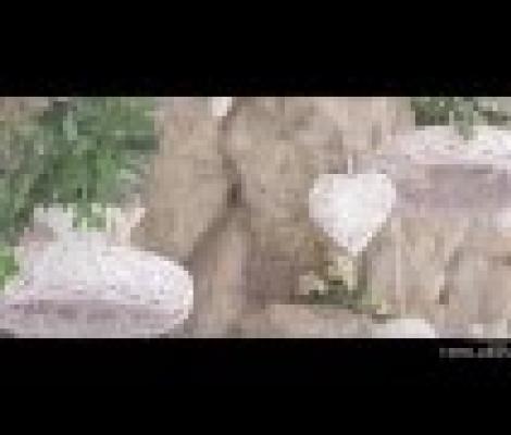 hotelgranparadiso it social-gallery 028